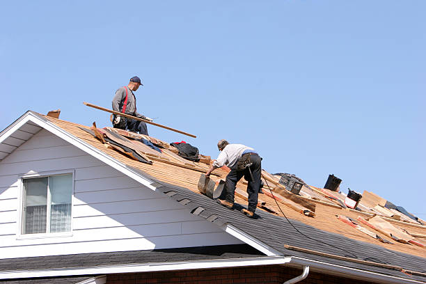 Best Green or Eco-Friendly Roofing Solutions  in Social Circle, GA